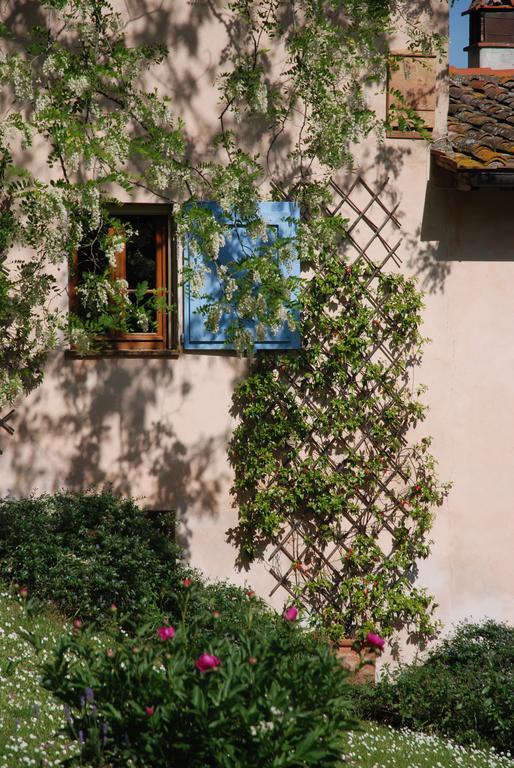 Appartamento Con Patio Privato E Giardino Tra Pisa E Firenze Palaia Exteriör bild