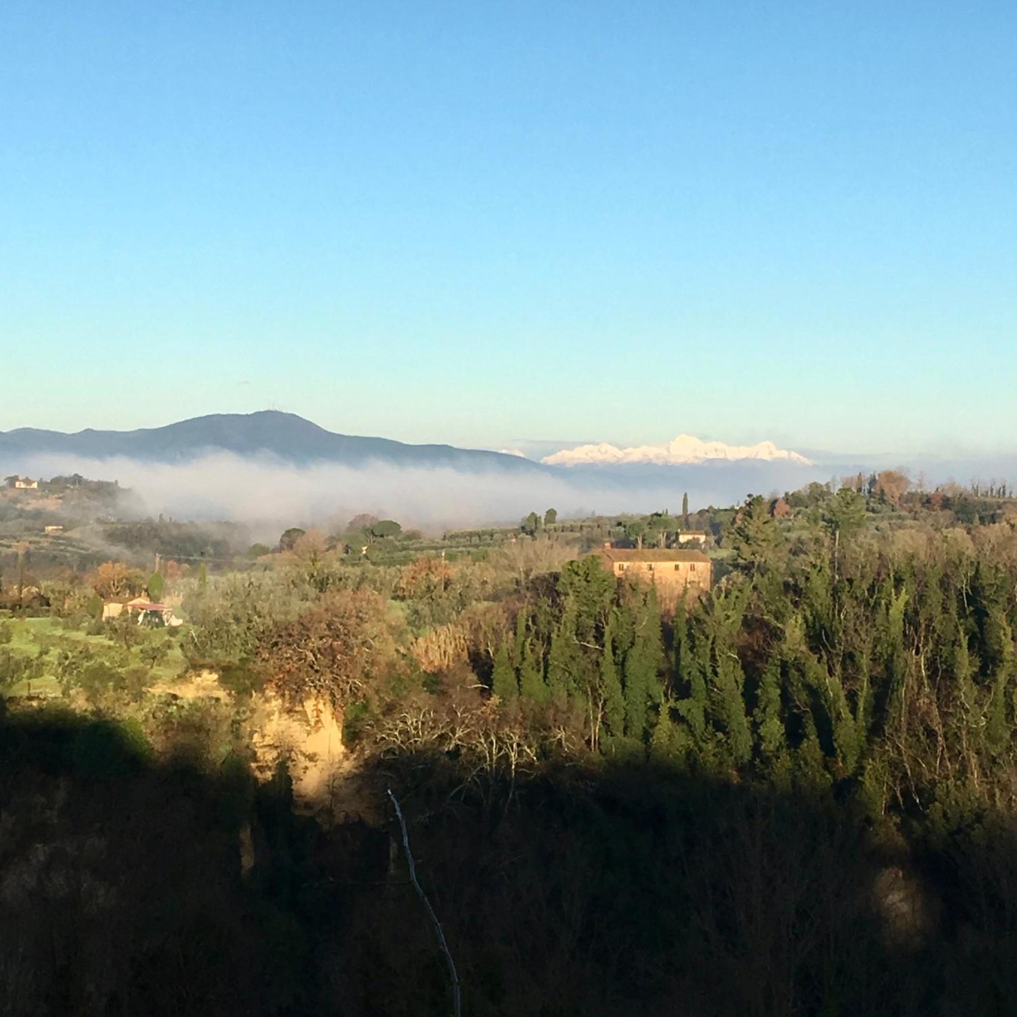 Appartamento Con Patio Privato E Giardino Tra Pisa E Firenze Palaia Exteriör bild