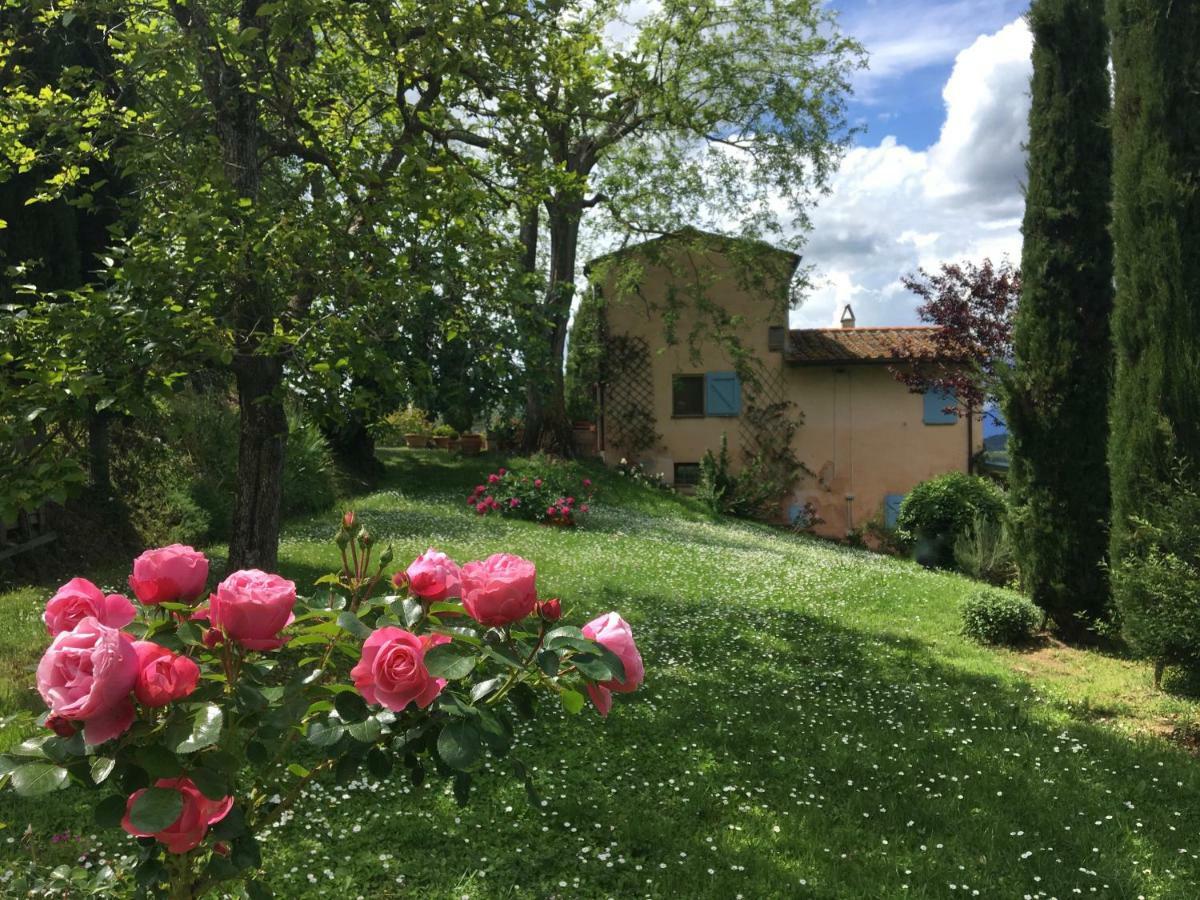 Appartamento Con Patio Privato E Giardino Tra Pisa E Firenze Palaia Exteriör bild
